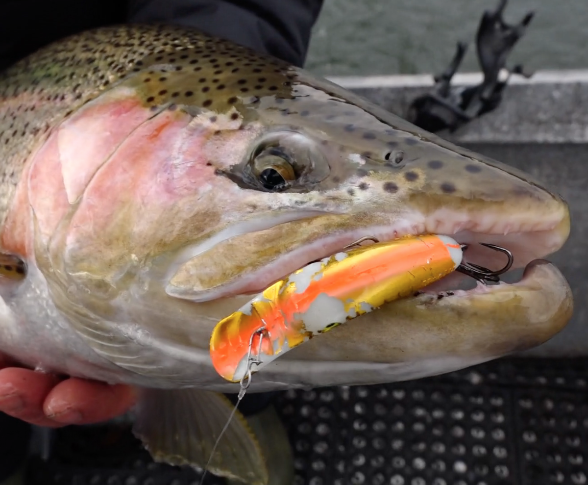 Plugging for Steelhead GetOutdoorsTV