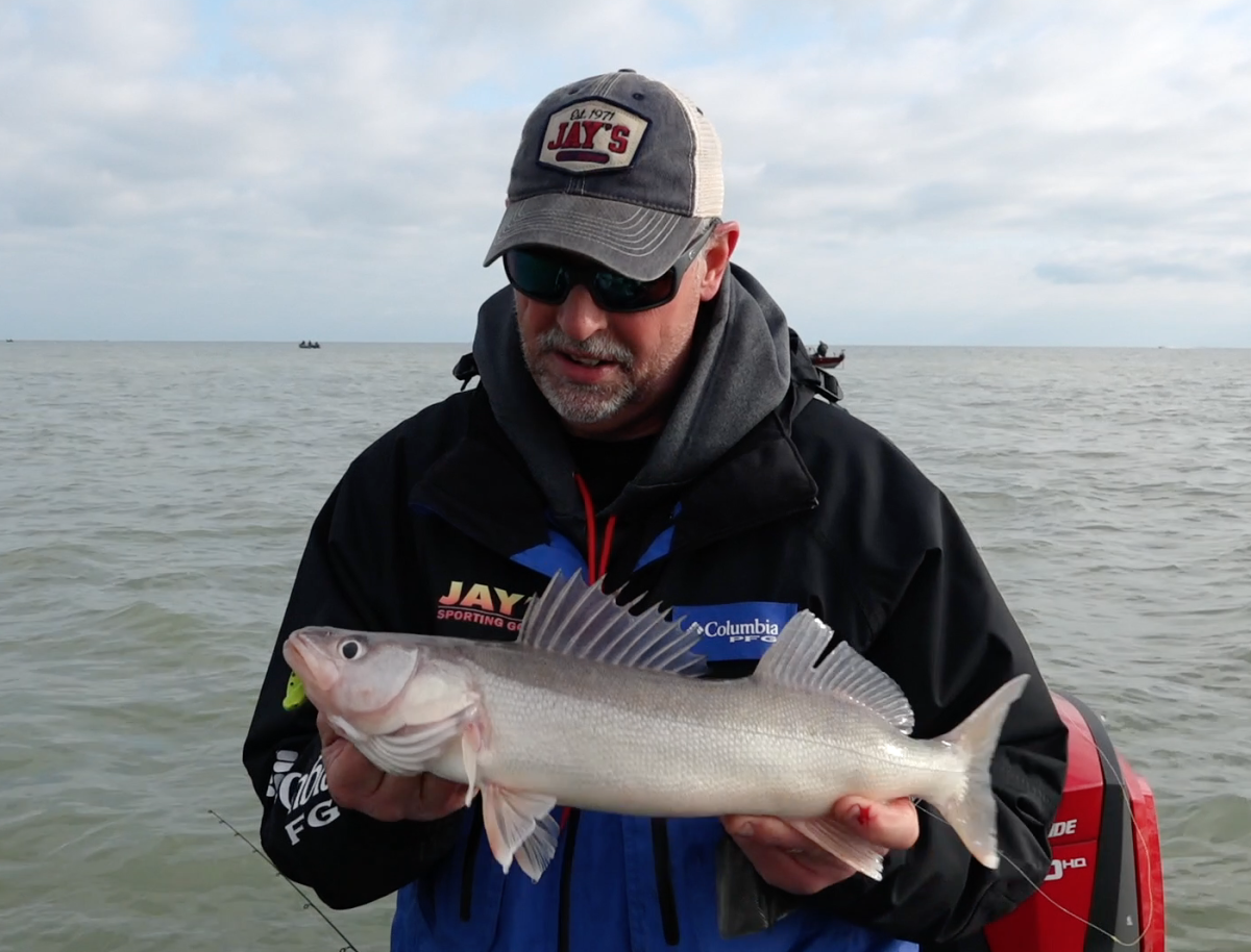 what size colorado blade for walleye