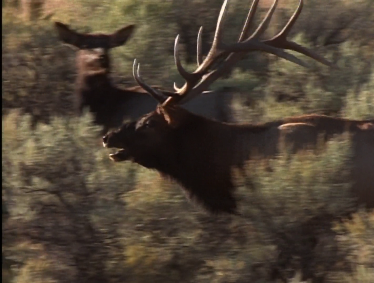 Valley of the Elk GetOutdoorsTV