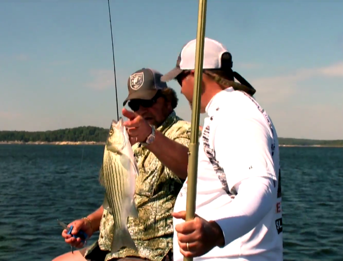Missouri White Bass and Wiper GetOutdoorsTV